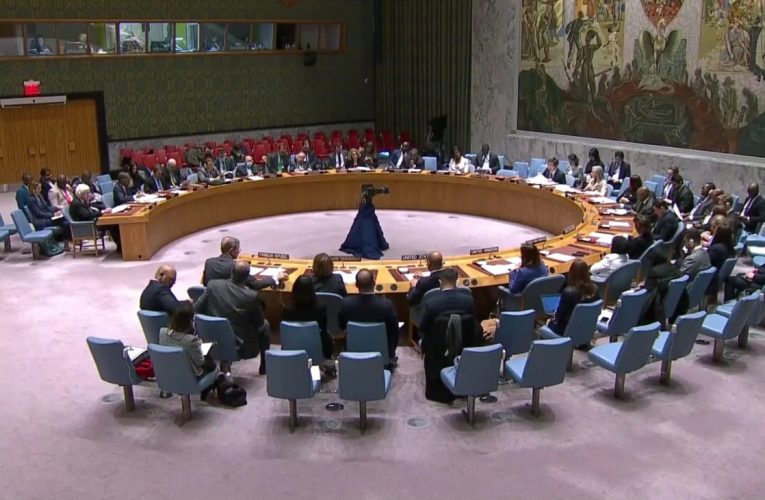 Canciller alerta al Consejo de Seguridad de la ONU situación en Haití también amenaza seguridad de República Dominicana
